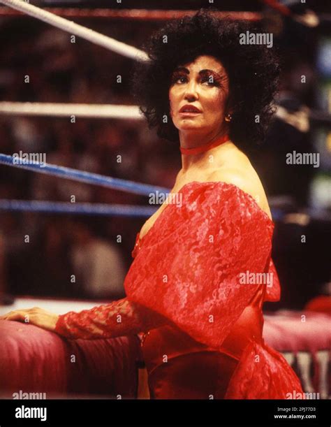 sherri martel relationships|Sherri Martel 